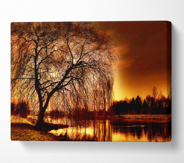  A Canvas Print of The Golden River Tree Canvas Art
