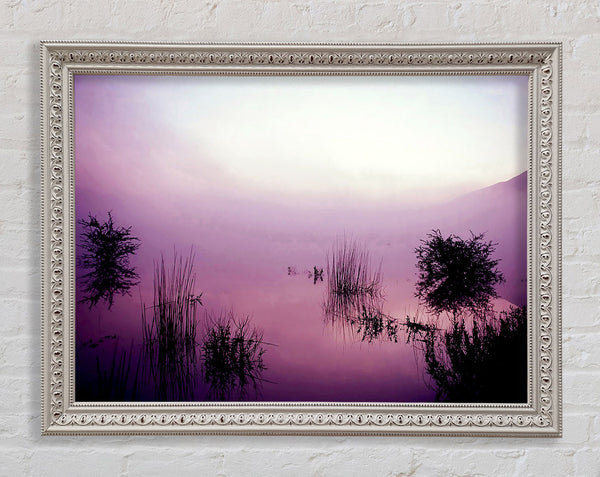 Lilac Pink Mist Framed Print