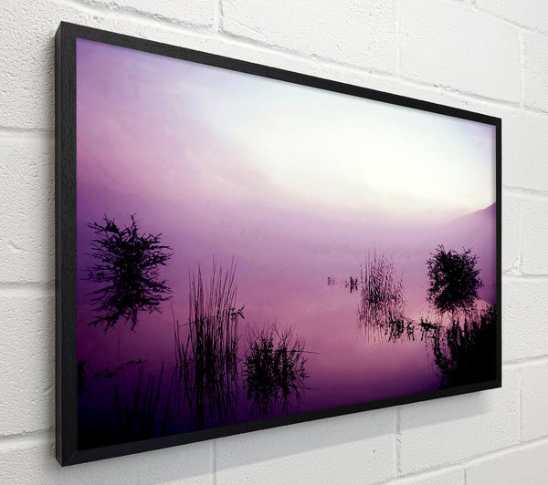 Lilac Pink Mist