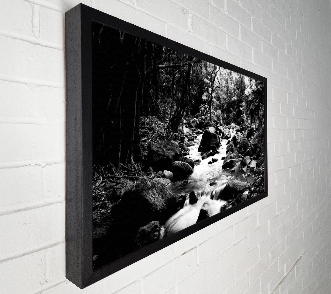  A Canvas Print of The Stream In The Woodland B n W Canvas Print