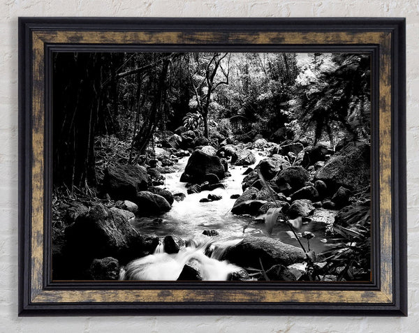 The Stream In The Woodland B n W Framed Print