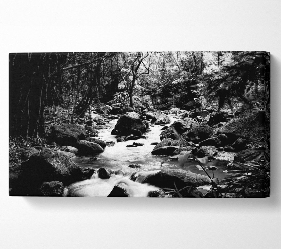  A Canvas Print of The Stream In The Woodland B n W Canvas Print