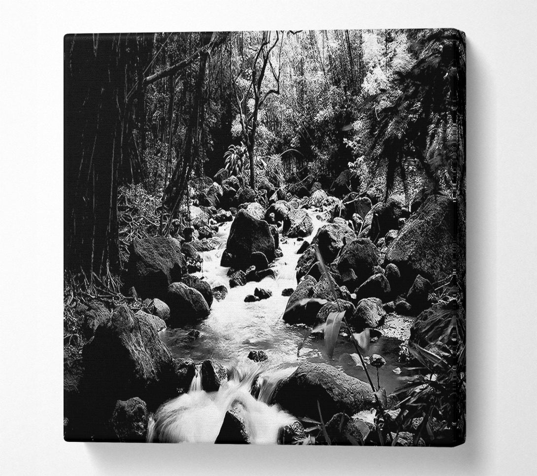  A Canvas Print of The Stream In The Woodland B n W Canvas Print