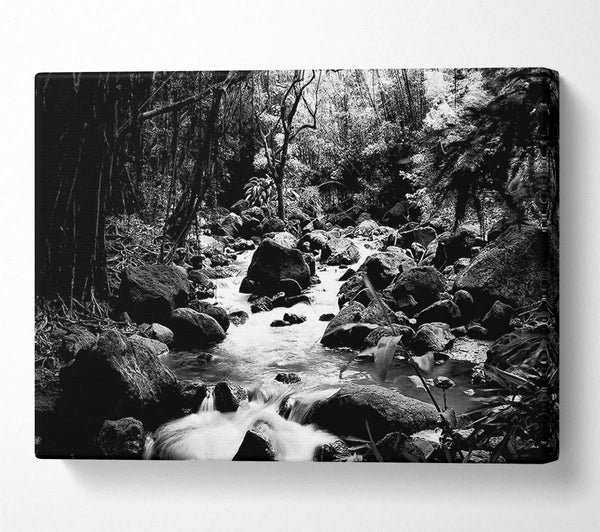  A Canvas Print of The Stream In The Woodland B n W Canvas Print