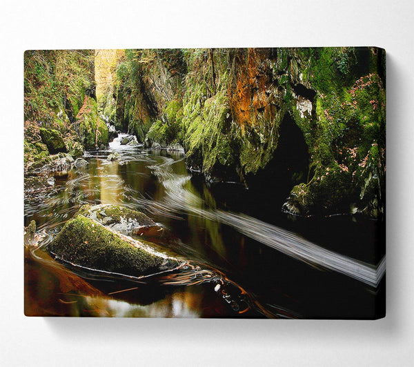  A Canvas Print of Woodland Stream Flows Canvas Print
