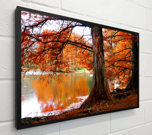 Orange Winter Lake Reflections