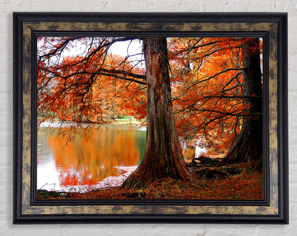 Orange Winter Lake Reflections Framed Print