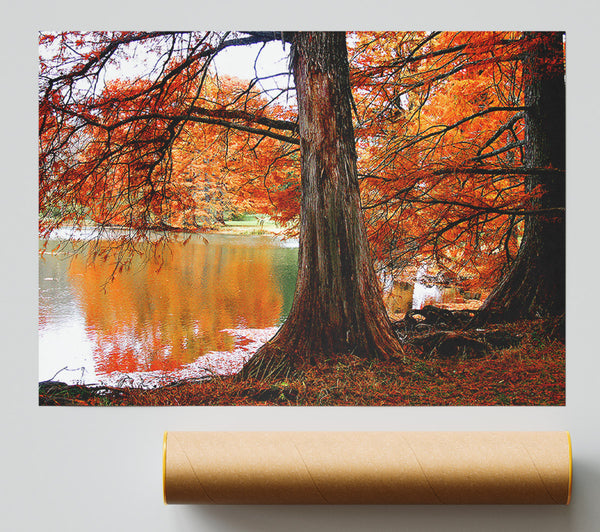 Orange Winter Lake Reflections Giclee Print