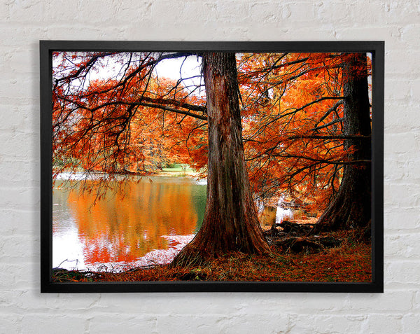 Orange Winter Lake Reflections Framed Print