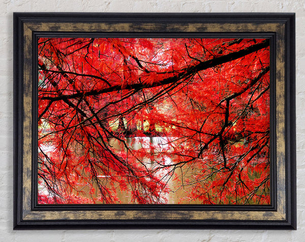 Red River Leaves Framed Print