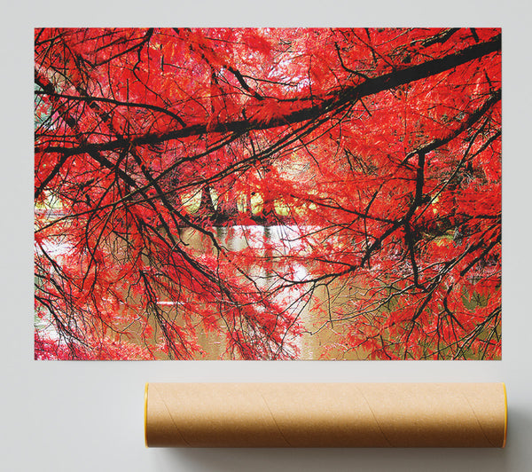 Red River Leaves Poster