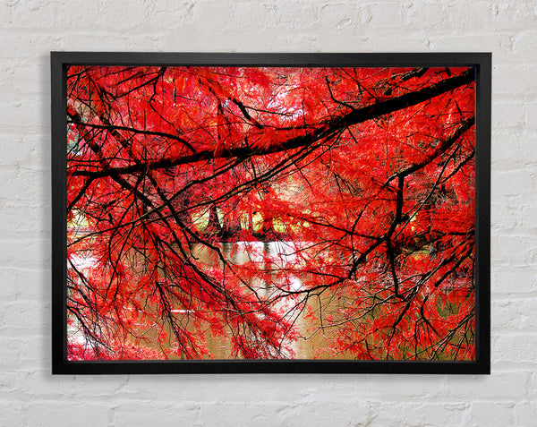 Red River Leaves Framed Print