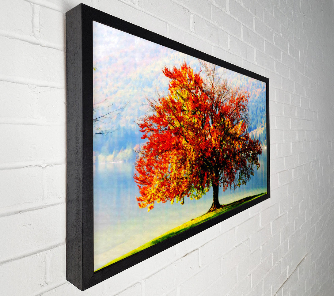  A Canvas Print of The Old Winter Tree In Autumn Canvas Art