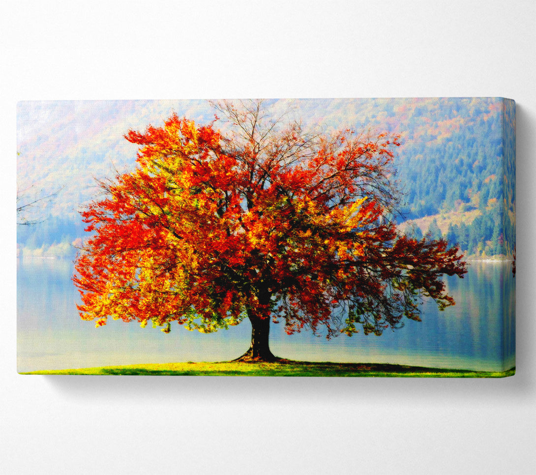  A Canvas Print of The Old Winter Tree In Autumn Canvas Art