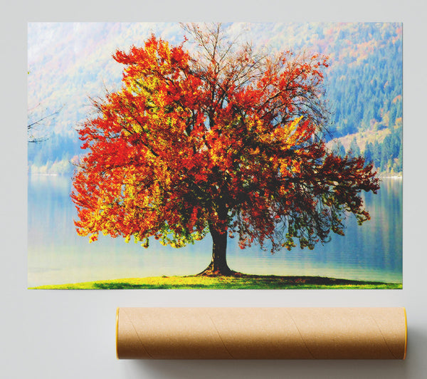 The Old Winter Tree In Autumn Print