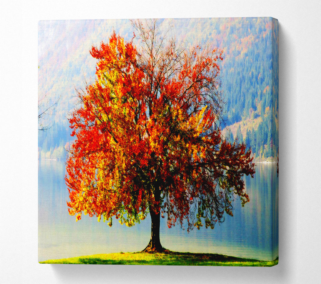  A Canvas Print of The Old Winter Tree In Autumn Canvas Art