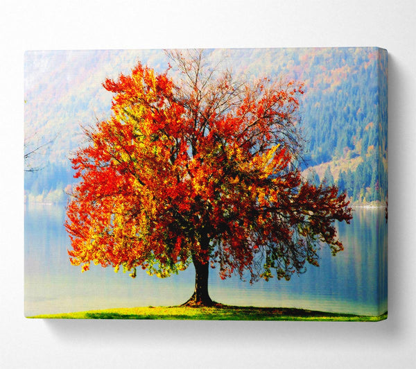  A Canvas Print of The Old Winter Tree In Autumn Canvas Art