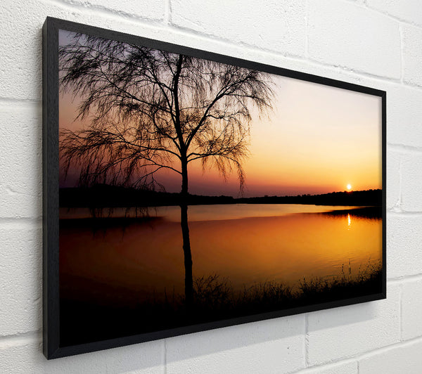 Peaceful Lake At Dawn