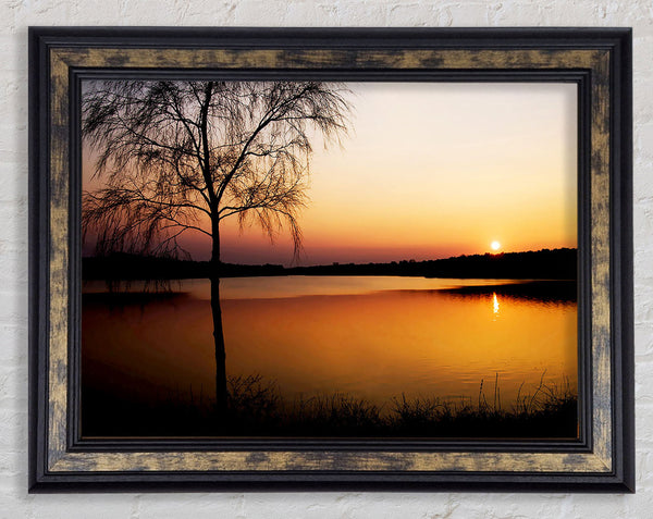 Peaceful Lake At Dawn Framed Print