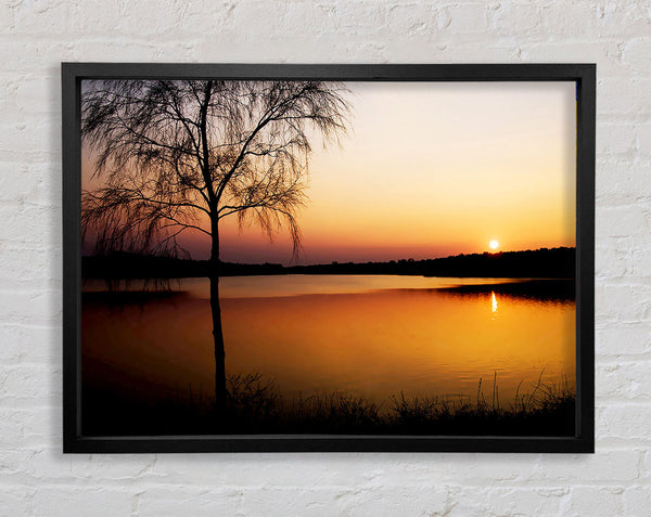 Peaceful Lake At Dawn Framed Print