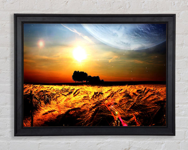 Fields Wheat In The Planets Golden Sun Framed Print