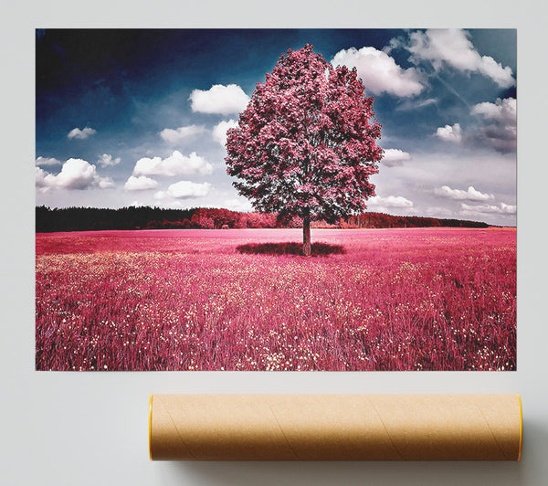 Pink Field Giclee Print