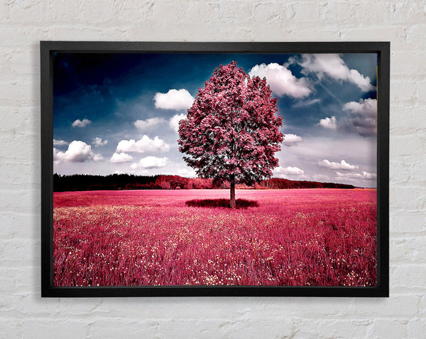Pink Field Framed Print