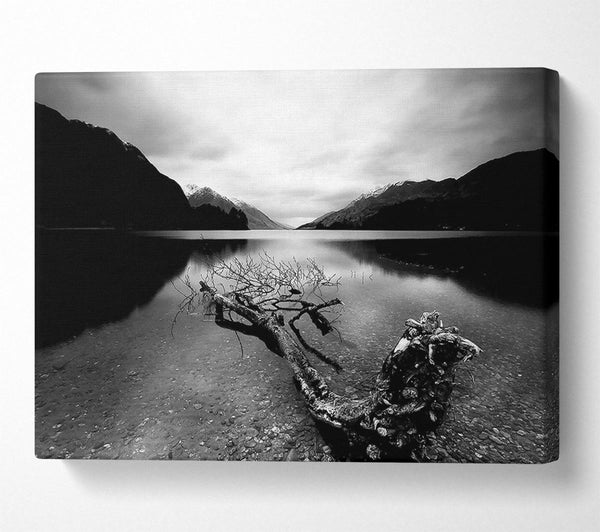  A Canvas Print of Tree In The Lake B n W Canvas Wall Art