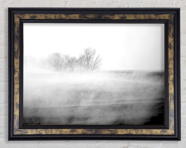 Absorption B n W Framed Print