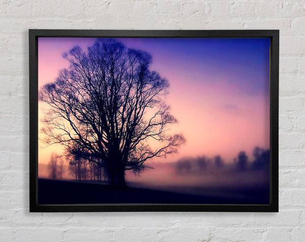 Scots Mist Framed Print