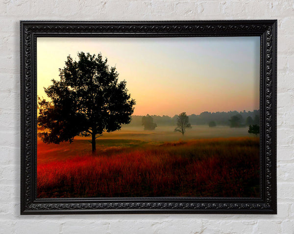 Autumn Sunrise Tree In The Mist Framed Print