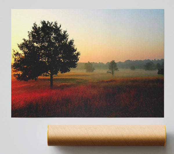 Autumn Sunrise Tree In The Mist Print