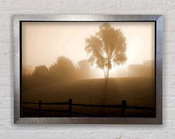 Foggy Morning Framed Print