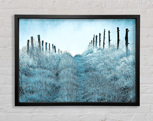 Winter Morning Mist Framed Print