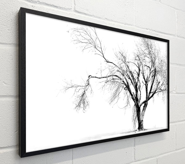 Cold Winter Tree
