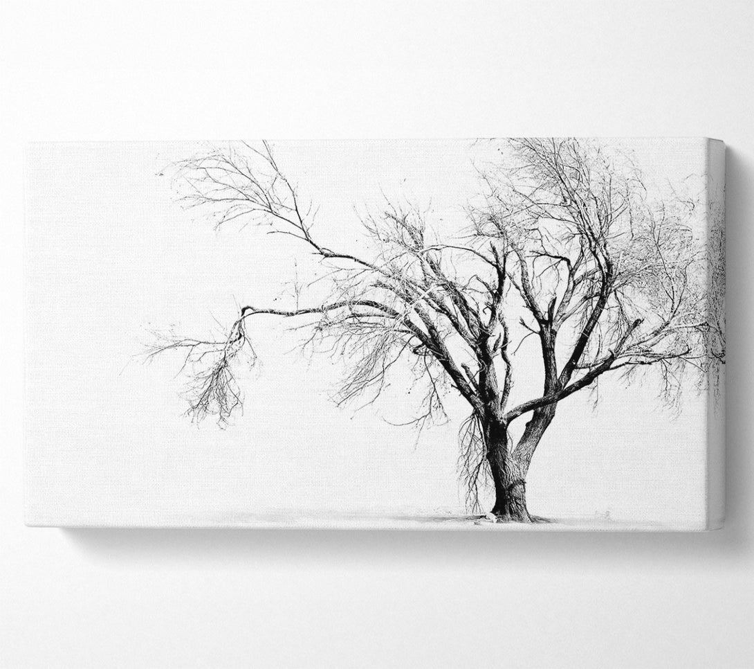  A Canvas Print of Cold Winter Tree Canvas Art