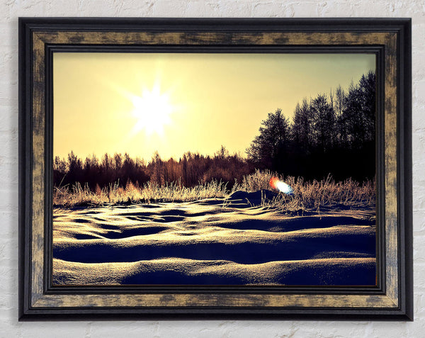 Sunny Snowy Day Framed Print