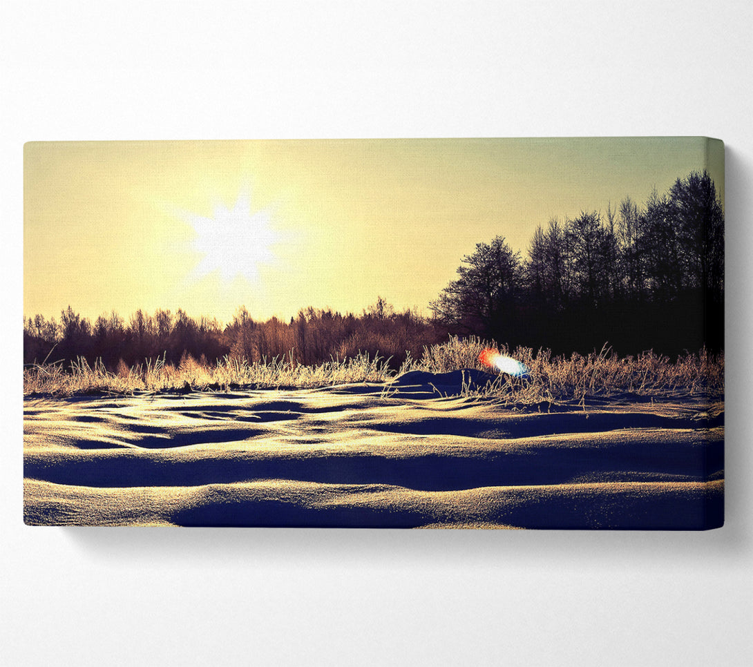  A Canvas Print of Sunny Snowy Day Canvas Wall Art