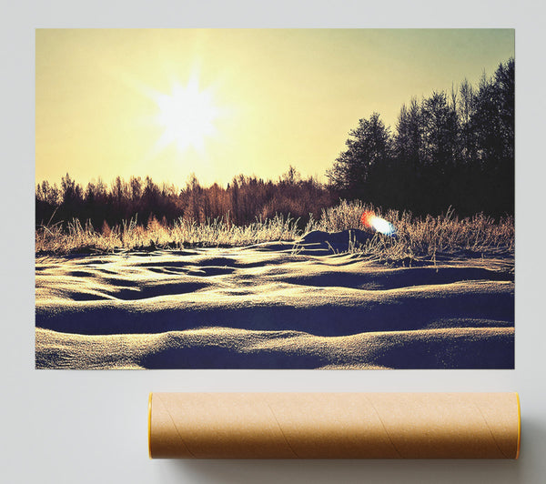 Sunny Snowy Day Print