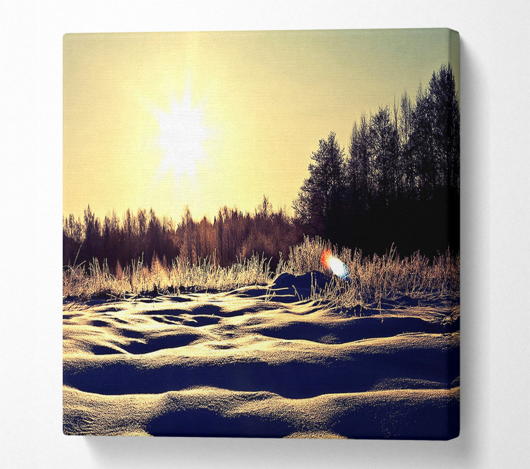  A Canvas Print of Sunny Snowy Day Canvas Wall Art