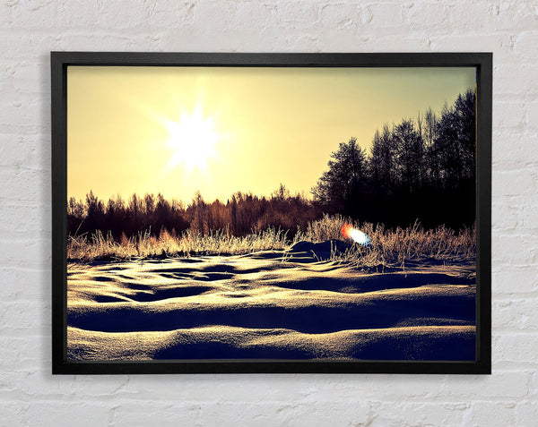 Sunny Snowy Day Framed Print