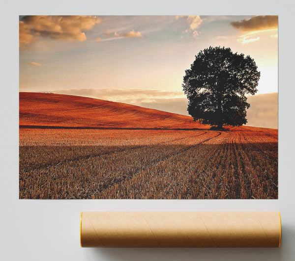 Lonesome Tree In The Field Autumn Poster