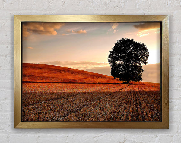 Lonesome Tree In The Field Autumn Framed Print