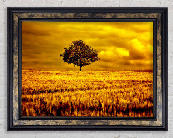 Gold Framed Print