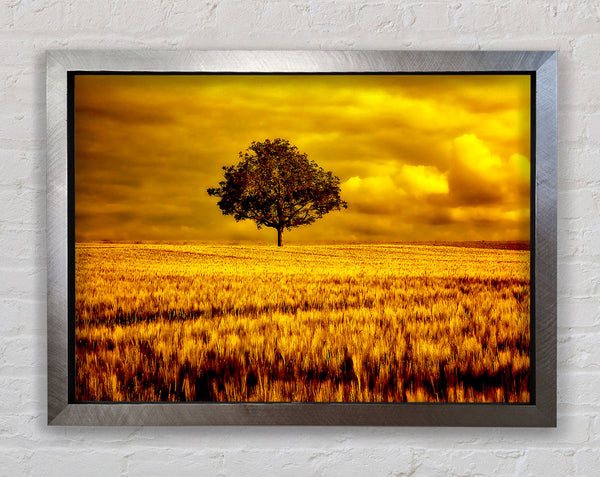 Gold Framed Print