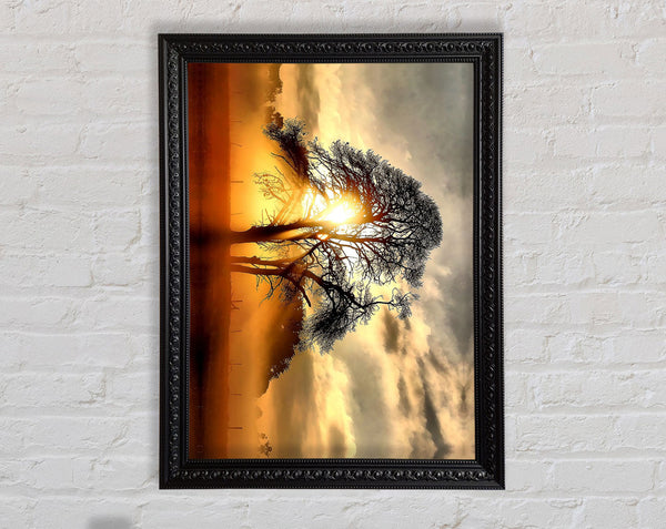 Fog Across The Field Framed Print