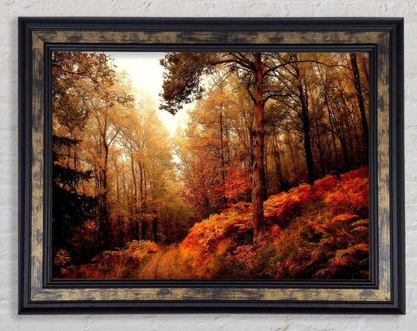 Mountain Path Framed Print