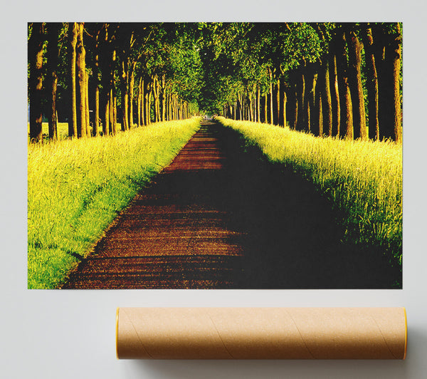 Tree Alley Giclee Print