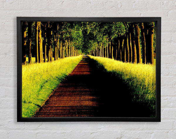 Tree Alley Framed Print