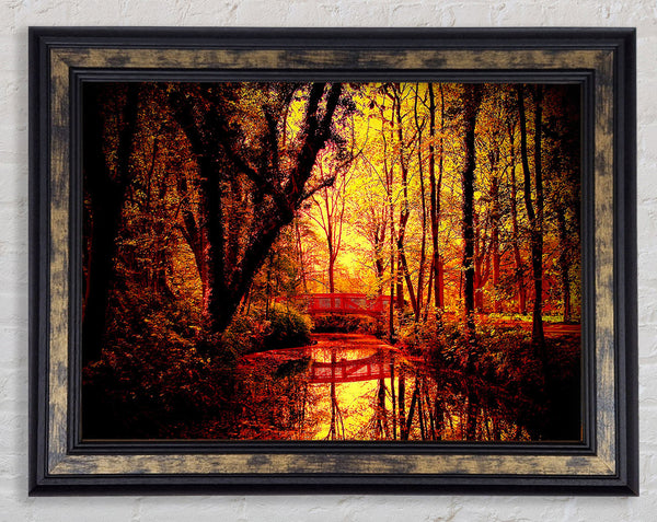 Park Bridge Autumn Framed Print